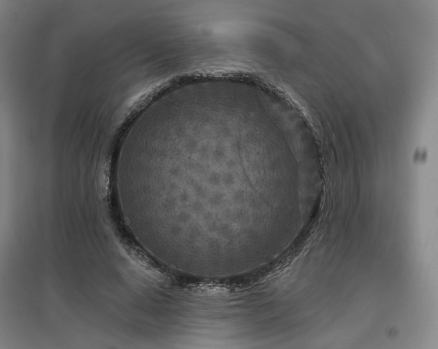 X0000097470640200802221236