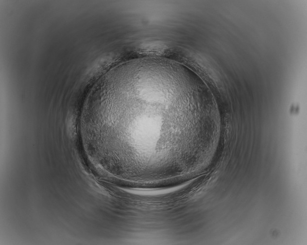 X0000097470641200802221236
