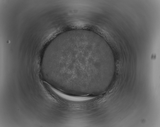 X0000097470642200802221236