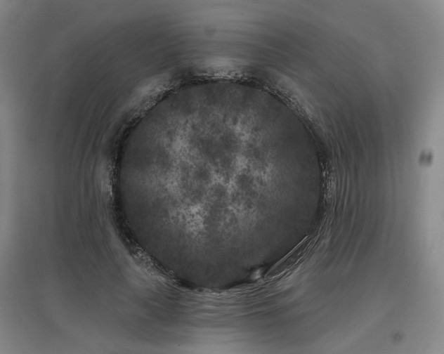 X0000097470643200802221236