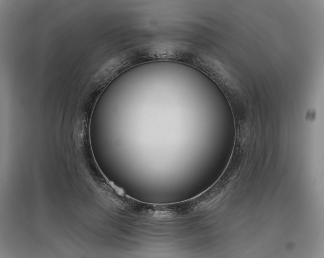 X0000097470645200802221237