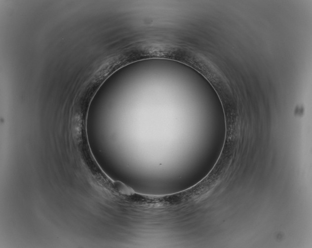 X0000097470646200802221237