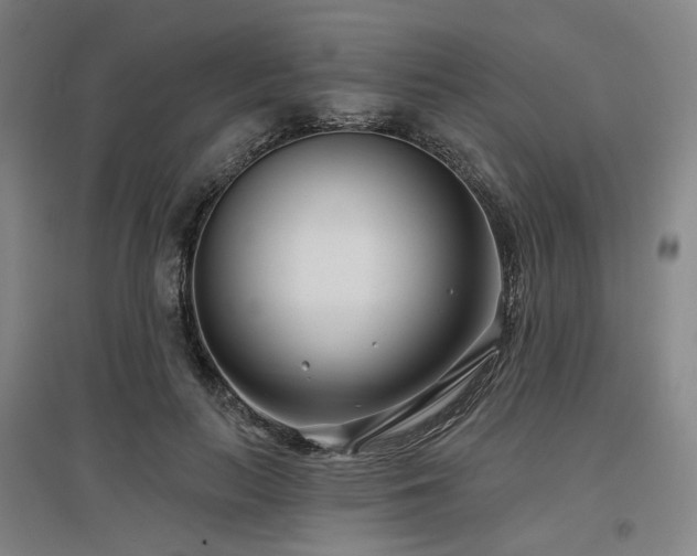 X0000097470647200802221237