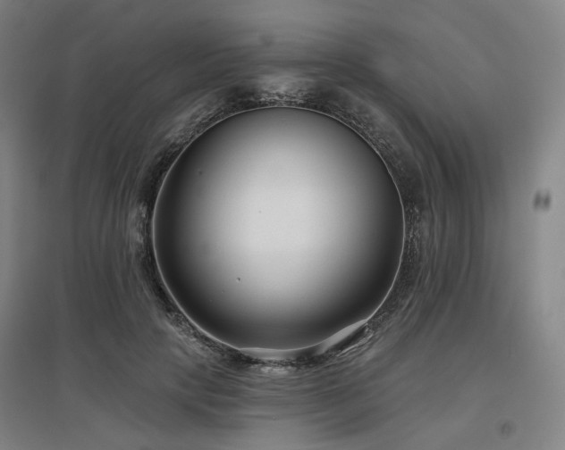 X0000097470649200802221237