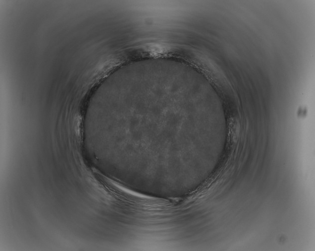 X0000097470650200802221237