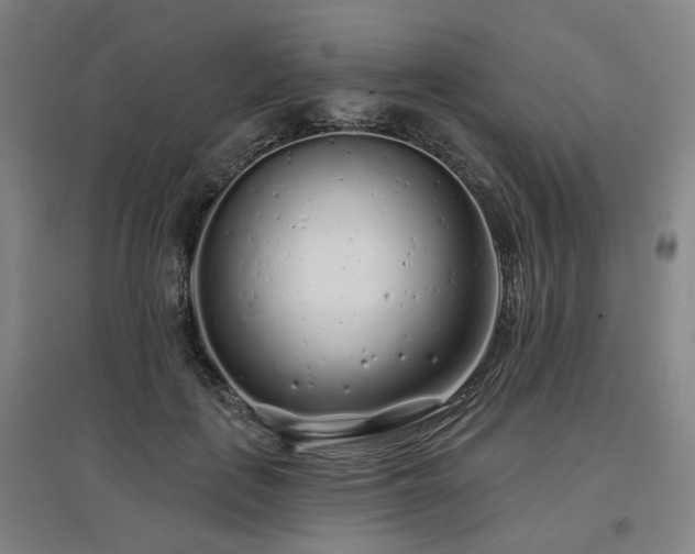 X0000097470651200802221237
