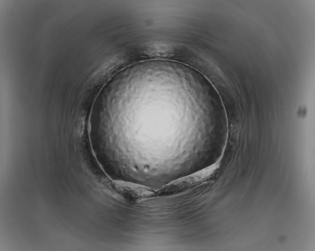 X0000097470652200802221237