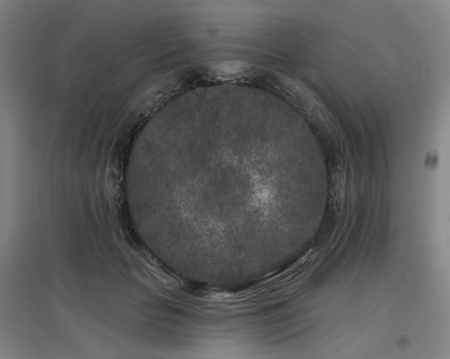 X0000097470653200802221237