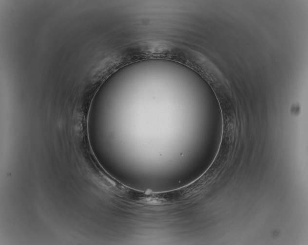 X0000097470654200802221237