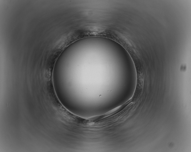 X0000097470657200802221237