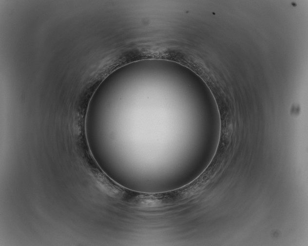 X0000097470658200802221237