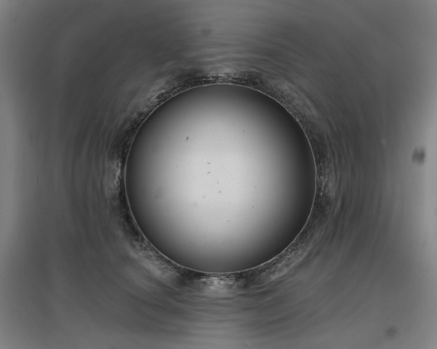 X0000097470660200802221237