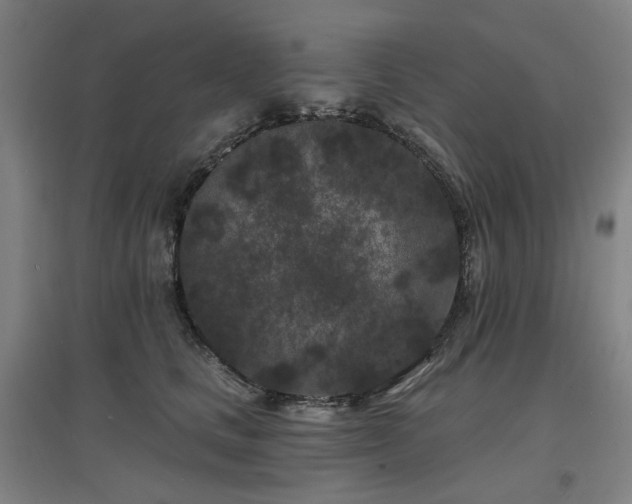 X0000097470661200802221237