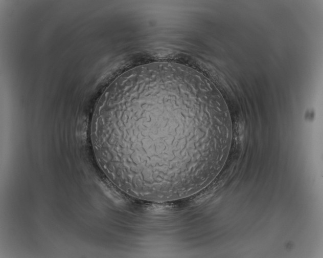 X0000097470664200802221237