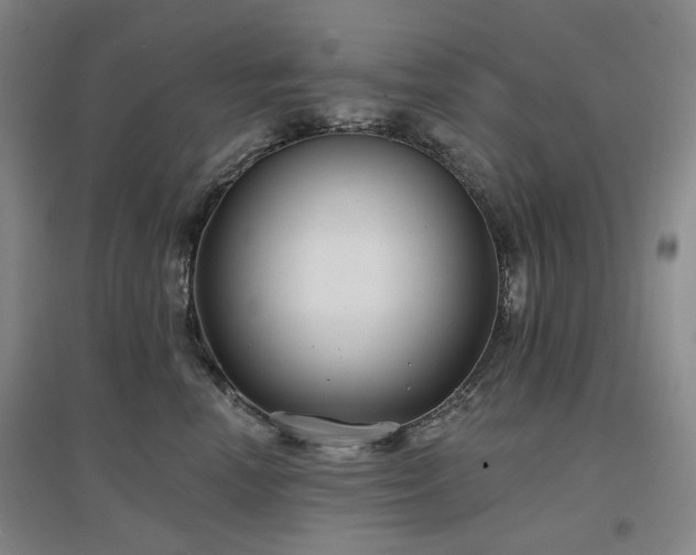 X0000097470666200802221237