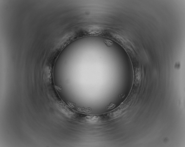 X0000097470667200802221237