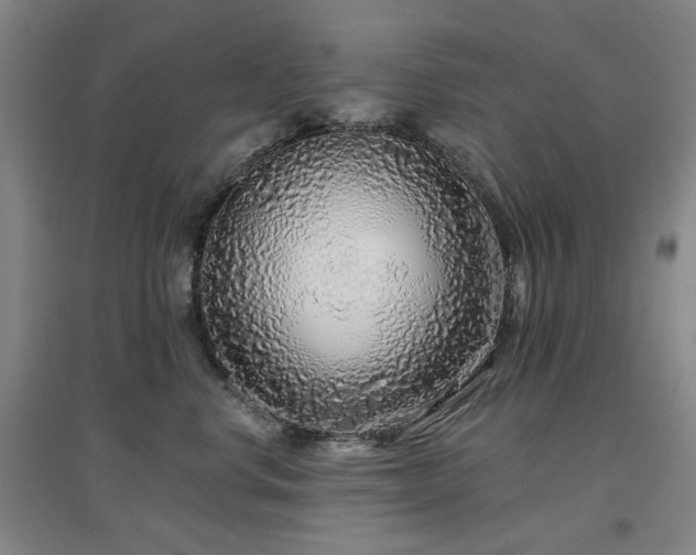 X0000097470668200802221237