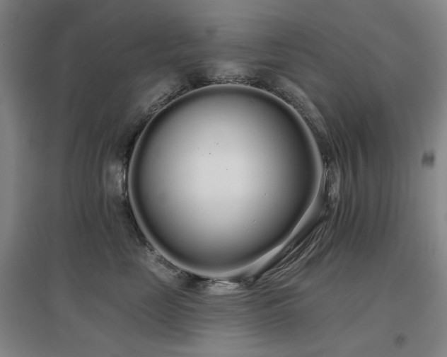 X0000097470669200802221237