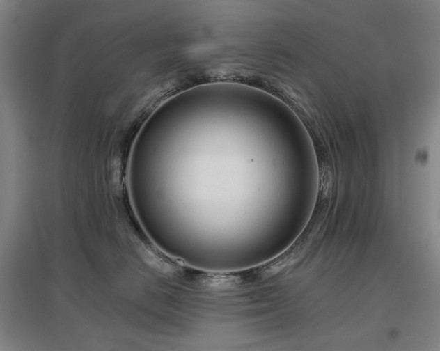 X0000097470670200802221237