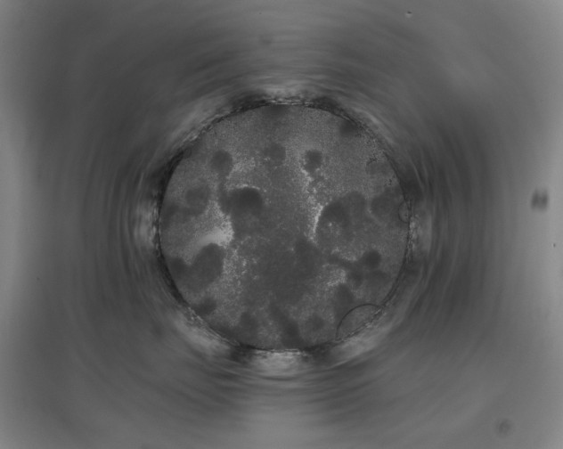 X0000097470671200802221237