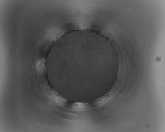 X0000097470672200802221237
