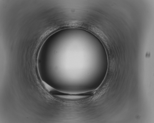 X0000097470673200802221236
