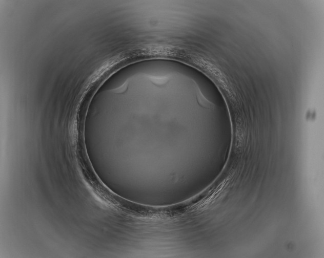 X0000097470674200802221236