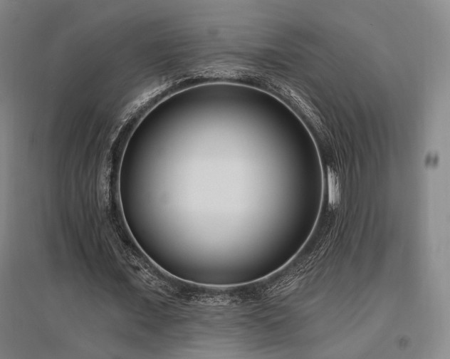 X0000097470675200802221236