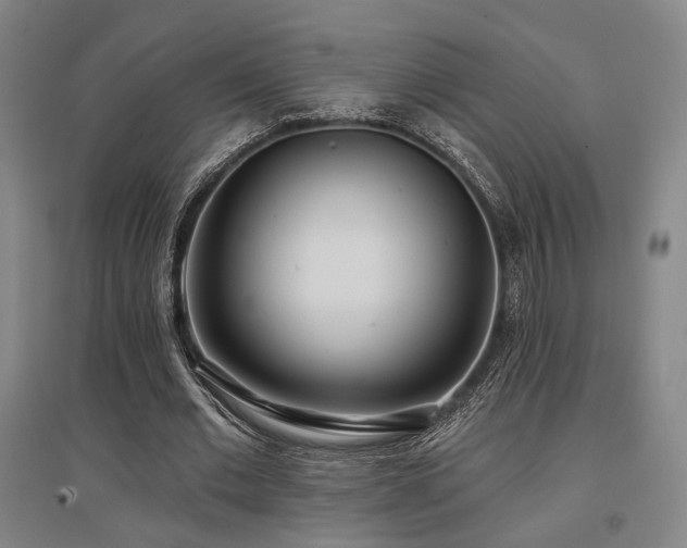 X0000097470677200802221236