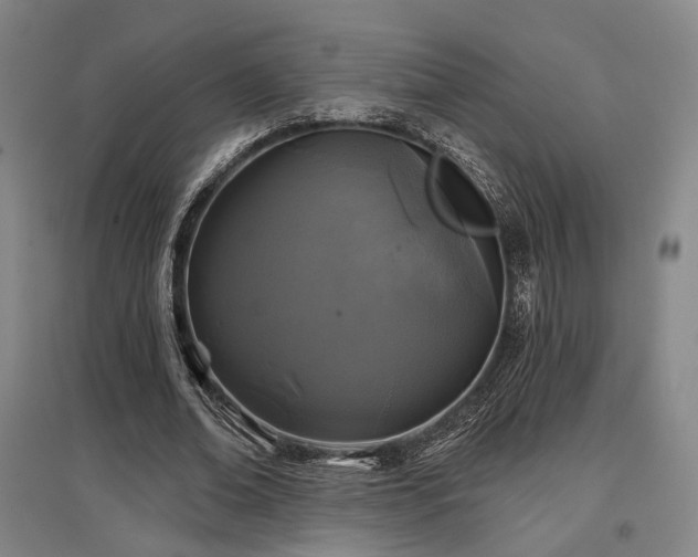 X0000097470678200802221236