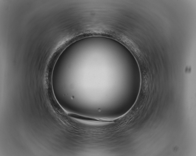 X0000097470680200802221236