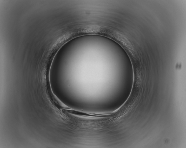 X0000097470681200802221236