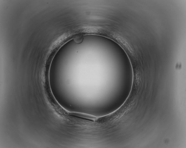 X0000097470682200802221236