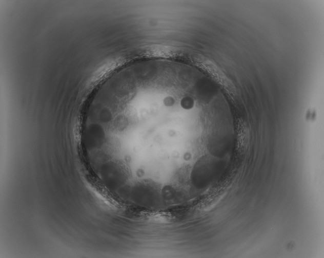 X0000097470683200802221236