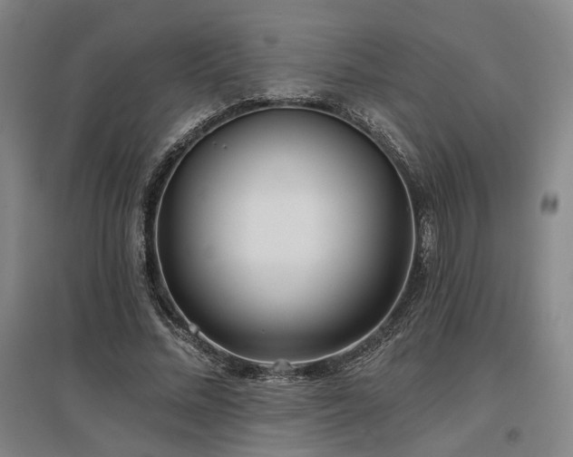 X0000097470684200802221236