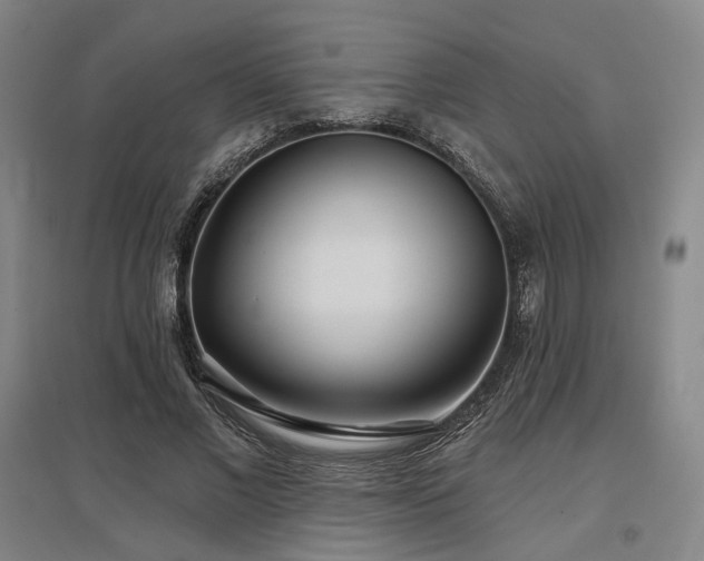 X0000097470685200802221236