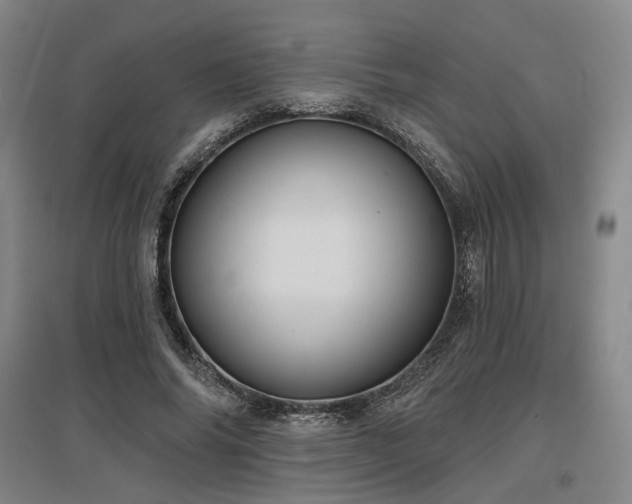 X0000097470686200802221236