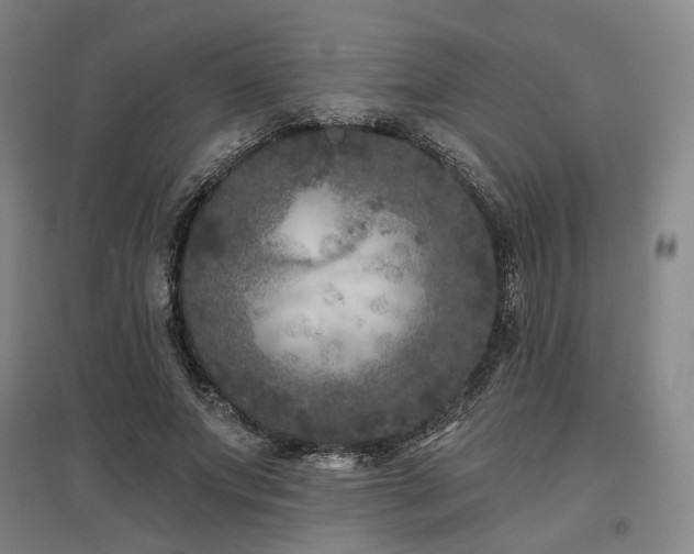 X0000097470687200802221236