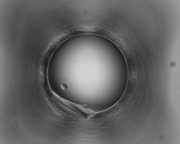 X0000097470688200802221236
