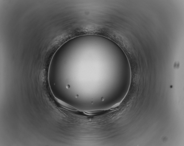 X0000097470689200802221236