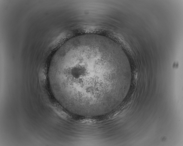 X0000097470691200802221236