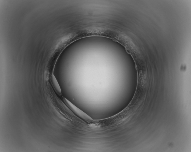 X0000097470692200802221236