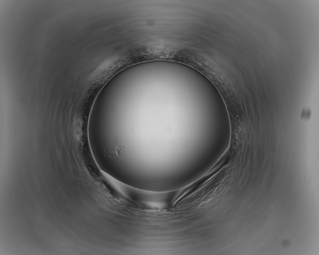 X0000097470693200802221236