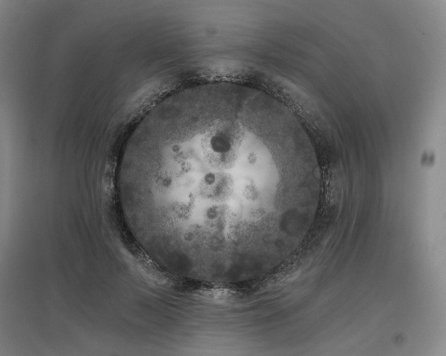 X0000097470695200802221236