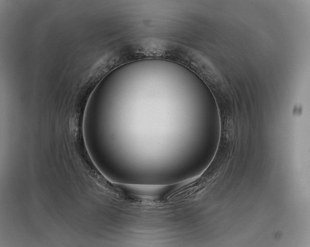 X0000097470697200802221236