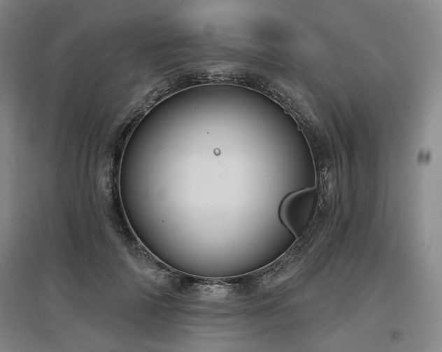 X0000097470698200802221236