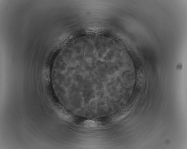 X0000097470699200802221236