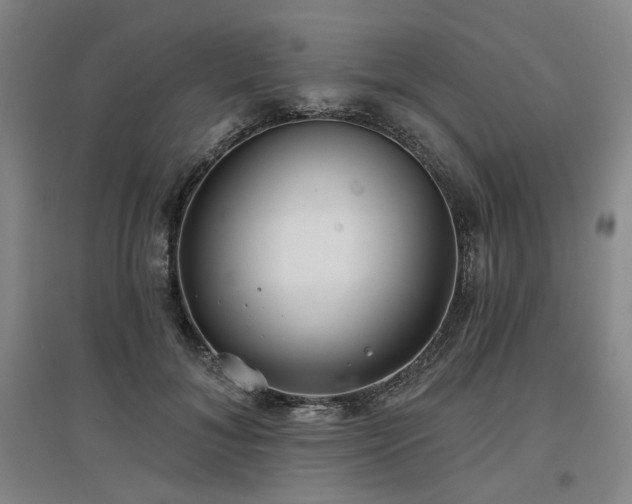 X0000097470700200802221236