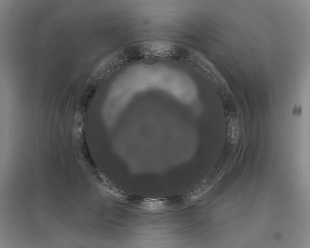 X0000097470701200802221236