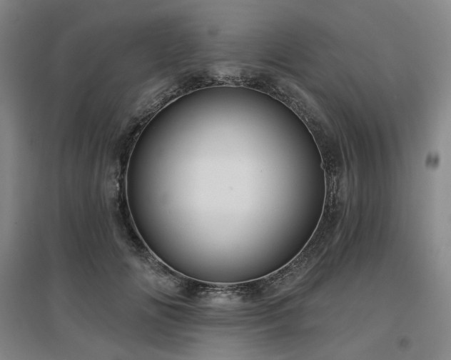 X0000097470702200802221236